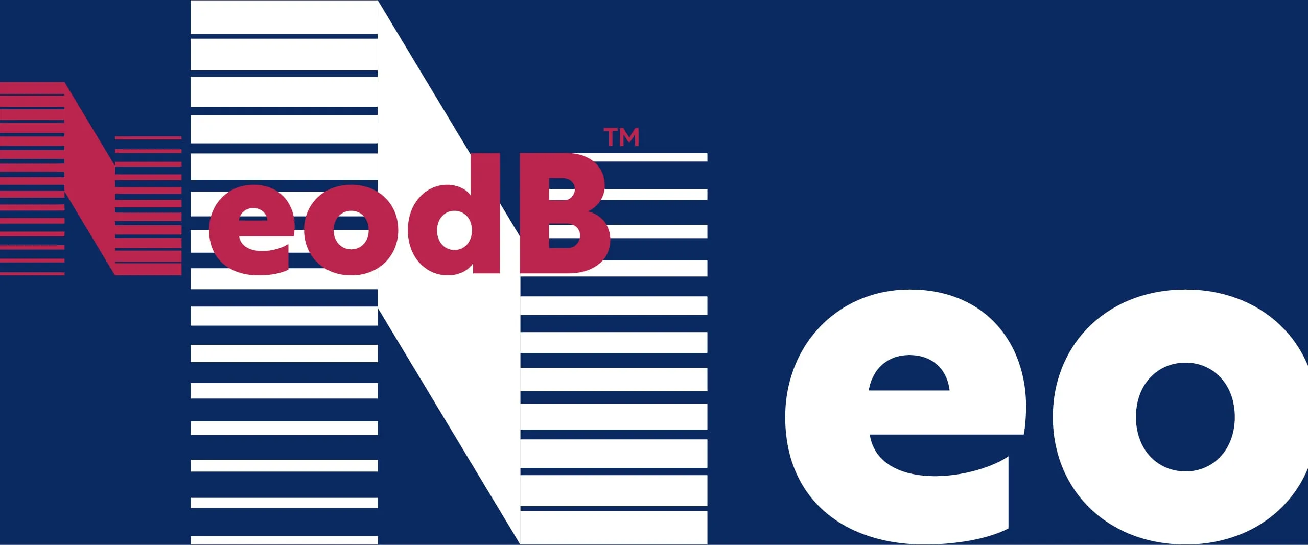 NeodB book cover