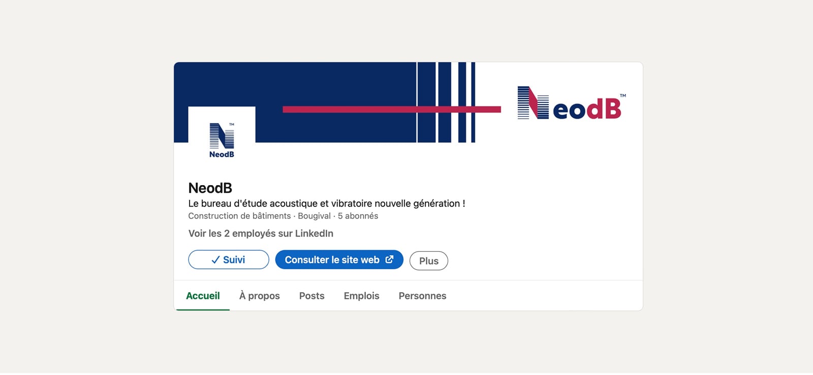 Identité visuelle NeodB — book de présentation — Agence Yvonne