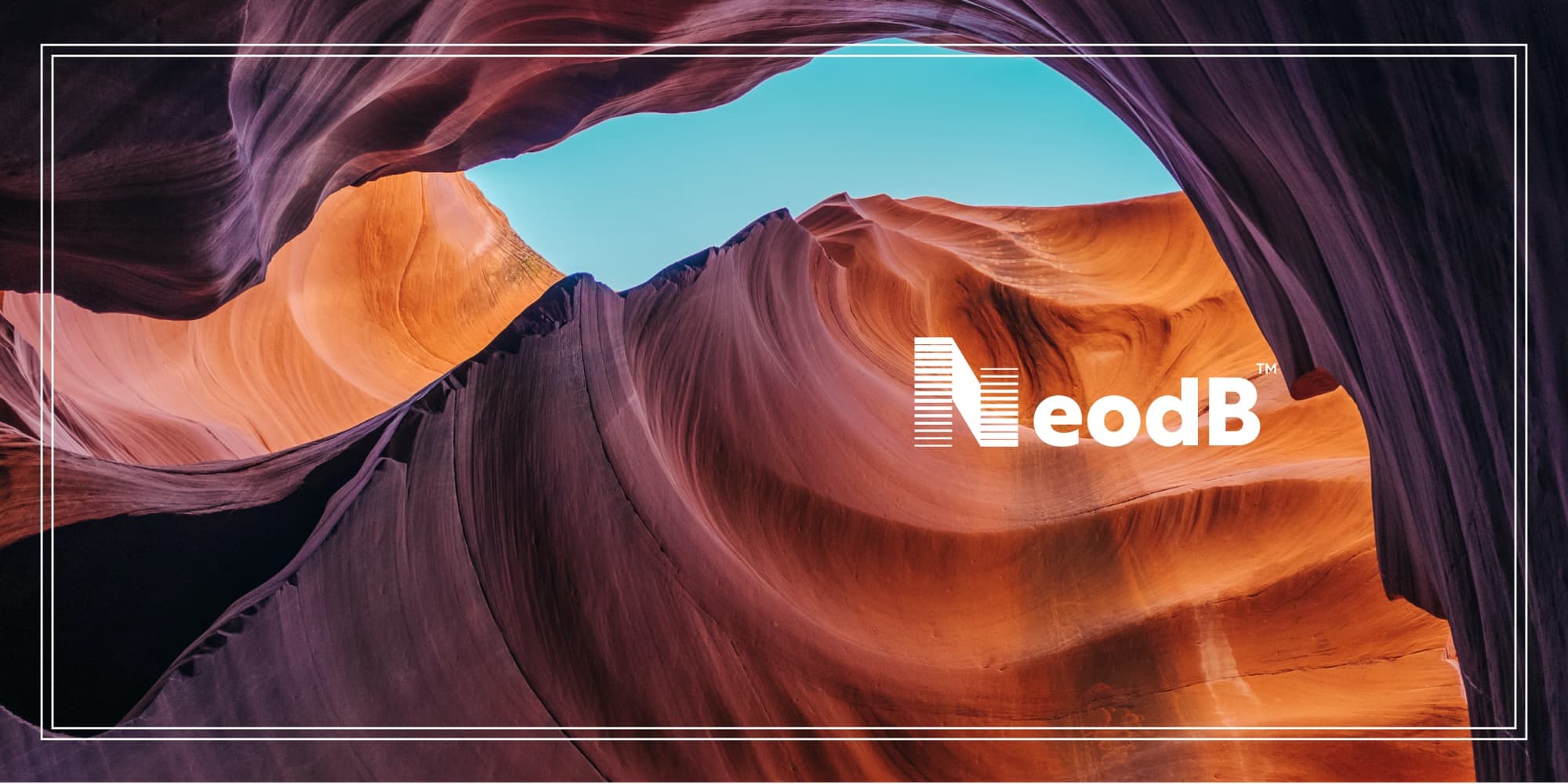 Identité visuelle NeodB — book de présentation — Agence Yvonne